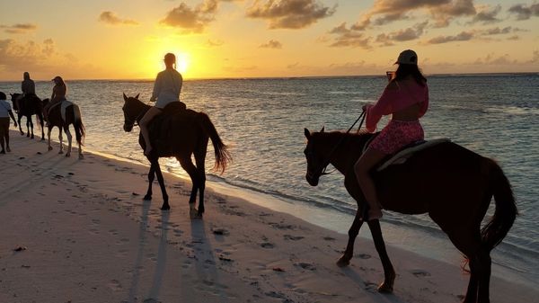 Horseback riding on the beach at sunset